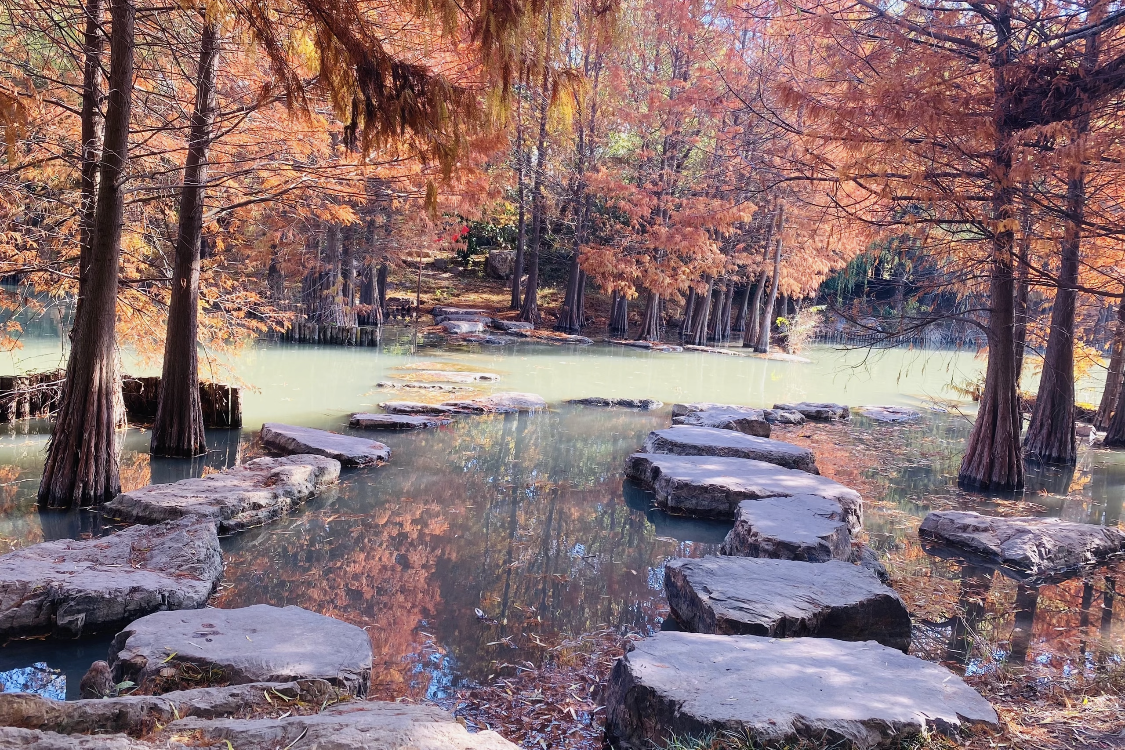 Wuli Lake Wetland